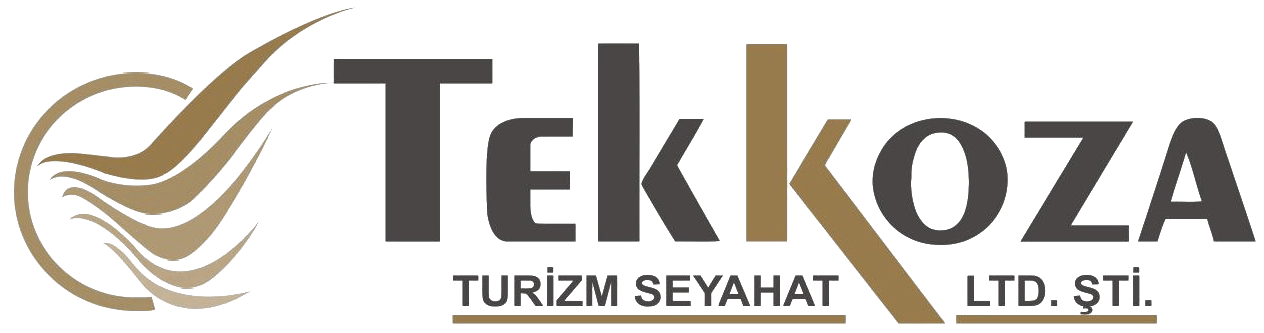 renkli logo tekkoza tur